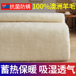 澳洲羊毛床垫软垫保暖加厚冬季家用双人垫被羊毛毡羊羔绒定制定做