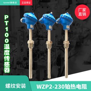 WZP2-230/WZP2-231双支PT100铂热电阻双组探头温度传感器M27螺纹
