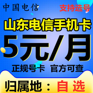 山东电信威海青岛济南济宁5G手机电话号码卡儿童老人卡低月租