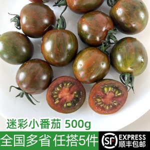 新鲜迷彩小番茄500g 当季现摘圣女果樱桃小西红柿 新鲜蔬菜