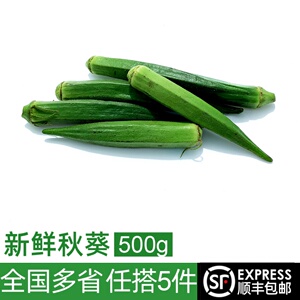 新鲜黄秋葵500g 六角豆羊角豆 水果黄秋葵 新鲜农家蔬菜 5件包邮