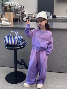 女童春秋运动套装2024新款中大童女孩韩版加绒两件套儿童紫色秋装