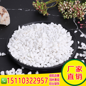 广州白色石头大鹅卵石水洗石庭院铺地铺路花园盆栽鱼缸装饰白石子