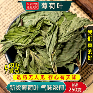 薄荷叶250g中药材小薄荷叶干草药泡茶水可打粉另售佩兰荷叶