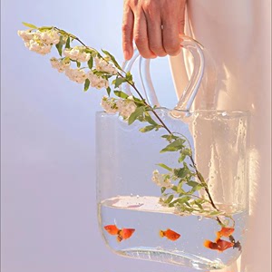 网红ins透明玻璃花瓶鱼缸手提包包客厅装饰摆件水养插花养鱼两用