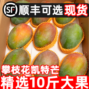 攀枝花凯特芒果新鲜10应季斤水果芒果整箱包邮特大青忙果新的当季