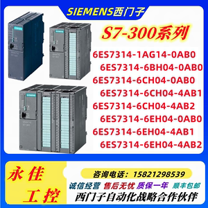 西门子S7-300 CPU 6ES7315/7317-2/E/A/H14/K14/7TK10/7TJ10-0AB0