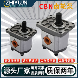 液压齿轮泵CBN-F310/314/316/320/325小型高压油泵液压泵总成泵头