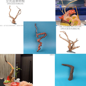 海鲜姿造用品干树枝大摆件木头创意造型摆件品天然树根刺身装饰品