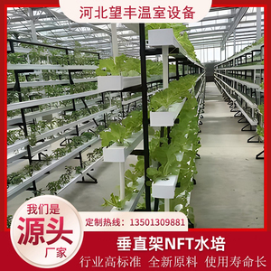 无土栽培种植架设备定制加工 草莓立体营养水培系统蔬菜PVC种植槽