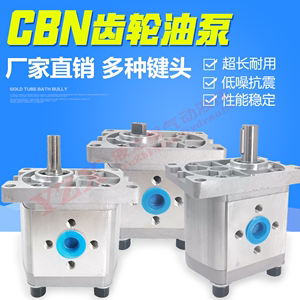 液压油泵CBN-F304/CBT-306/310/314/316T320G325高压齿轮泵头静音