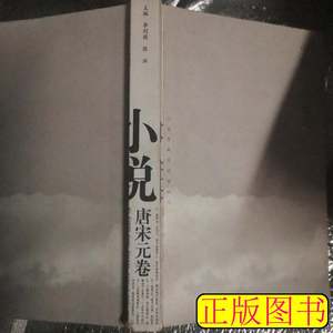 中国小说通史（唐宋元卷） 李剑国陈洪着 2007高等教育出版社9787