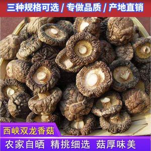 西峡香菇干货特产干香菇500克包邮剪根菌菇蘑菇农家香菇秒杀