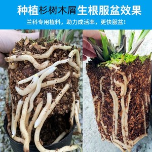 兰花专用土植料透气颗粒多肉营养土花土木屑纯杉树配方家用种植土