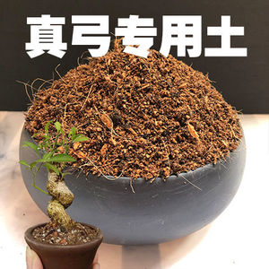真弓专用土真弓盆景土家用盆栽营养土酸性沙质土壤绿植种植土肥料 阿里巴巴找货神器