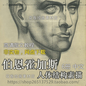 伯恩霍加斯人体结构素描中文高清图文教程自学绘画临摹参考素材