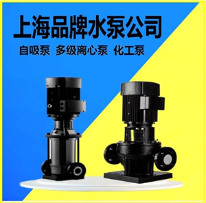 上海东方熊猫祈能连成凯泉羽泉螺杆泵自吸泵不锈钢立式多级离心泵