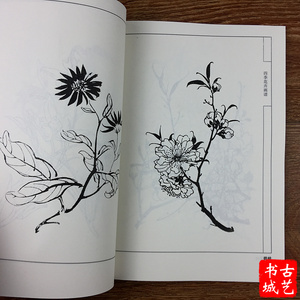 国画线描四季花卉白描书线描白描底稿技法国画工笔画百花画谱