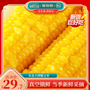 寻么玉米糯玉米新鲜东北黑土黄糯黏玉米棒真空10支非转代餐甜玉米
