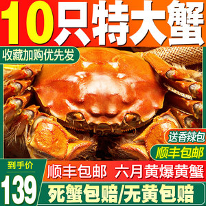 平家蟹画像 最優秀作品賞