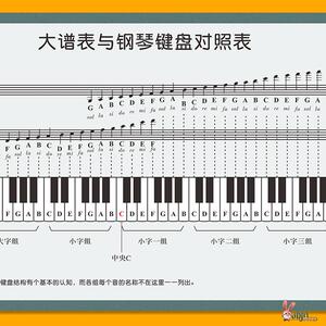 五线谱识谱神器钢琴初学者家用挂图音符对照表大普表与钢琴键盘图