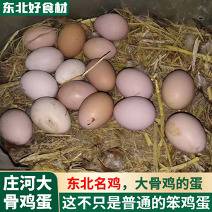 中国名鸡庄河大骨鸡农家散养土鸡蛋笨鸡蛋溜达鸡蛋农家孕妇