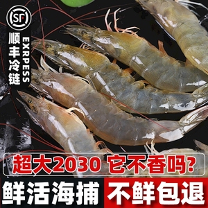 青岛盐冻鲜活超大新鲜对虾冷冻海捕2030盐田大虾海洋盒装基围虾
