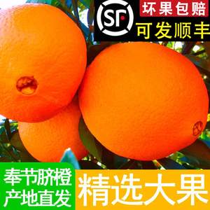 重庆奉节脐橙新鲜产地直发伦晚橙子10斤赣大南果秭归当季10斤水果