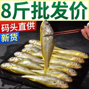 小黄鱼野生新鲜冷冻5-8斤烧烤黄花鱼生鲜活海鱼海鲜整箱水产海鲜