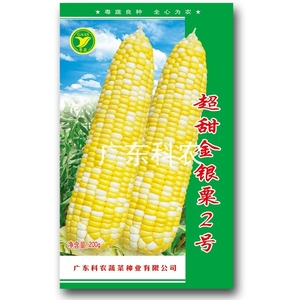 超甜金银粟2号玉米种子蔬菜种子（200克/包）广东省农科院选育