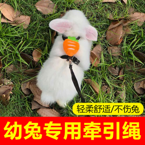 小兔子牵引绳防挣脱侏儒兔幼兔专用绳子溜龙猫荷兰猪遛牵引绳神器