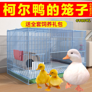 鸭笼子家用养小鸡柯尔鸭专用的大别墅笼装宠物小鸭子鹌鹑饲养笼箱