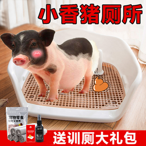 小香猪厕所宠物猪专用拉屎尿盆定点训练防止乱拉迷你猪的生活用品