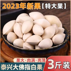 2023年新果特大白果新鲜白果泰兴银杏果带壳生的饱满不漂白3斤