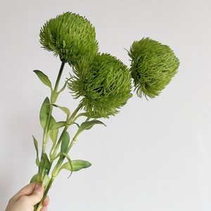 高品质单枝手感绿石竹家居装饰花摆件中式软装陈设软胶塑料仿真花