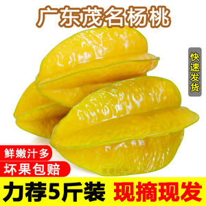 广东老农黄杨桃水果当季红龙杨桃大果树上熟新鲜包邮5斤甜桃包邮