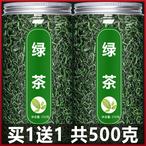 绿茶2022新茶叶500g正品特级春茶毛尖茶日照自己喝高山散装批发