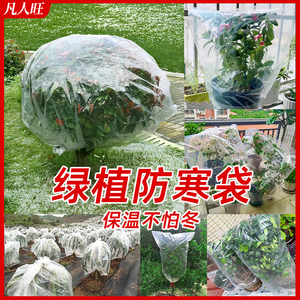 绿植防冻保温袋塑料膜花卉盆栽过冬保护罩树木防寒布加厚防尘袋子