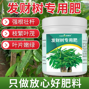 发财树肥料专用肥活力素家用绿萝幸福树金钱树有机肥盆栽植物通用