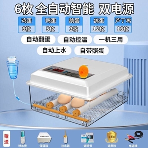 机器小鸡孵化机呼化器鸭鹅的水床家用全自动小型敷鸡蛋器鹌鹑照蛋