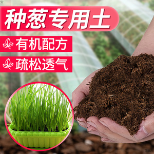 种葱专用土蔬菜营养土种菜专用土壤肥料阳台种蒜土泥土小葱有机肥