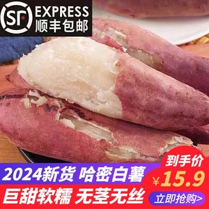 超甜哈密冰糖薯10斤新鲜山东白瓤地瓜沙地蜜薯小番薯白心板栗红薯