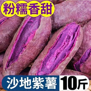 云南沙地紫薯农家自种紫薯新鲜10斤蜜薯沙地番薯板栗紫罗兰地瓜