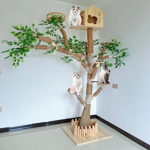 猫爬架猫窝猫树一体大型猫爬架树猫咖装饰树实木猫屋猫咪架子套装