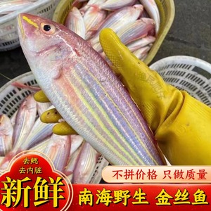 海钓金线鱼鲜活冷冻金丝鱼深海捕捞红杉鱼海鲜水产品【顺丰包邮】