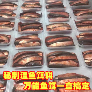 矶无界秘制姑鱼肉鱼排海钓石斑黄脚立温鱼饵矶钓筏钓黑雕沙丁鱼饵