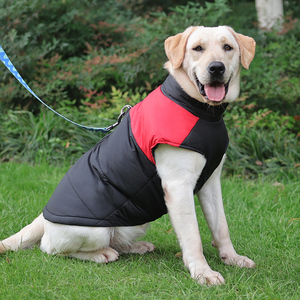 狗狗衣服秋冬装中大型犬加厚保暖棉服金毛拉布拉多冬季宠物棉马甲