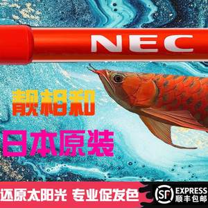 日本本土nec鱼缸灯潜水龙鱼专用灯三基色T8灯管金龙红龙发色6700K