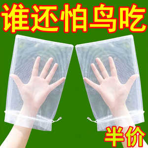 防虫鸟网套袋水果蔬菜害虫蚊保护袋葡萄芒果苹果桃瓜果塑料网套袋