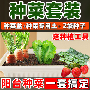 家庭阳台种菜专用土蔬菜种植土壤有机肥料育苗泥土种菜营养土加盆